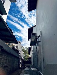 Palm Avenue (D15), Detached #561627831